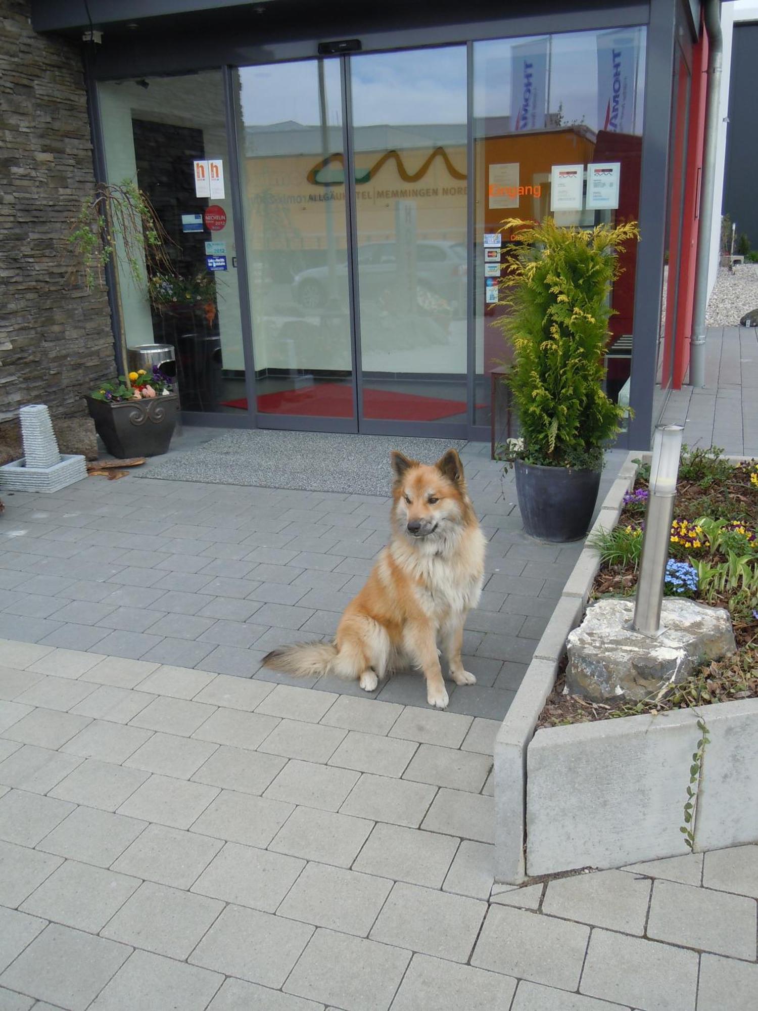 Allgaeuhotel Memmingen Nord 외부 사진